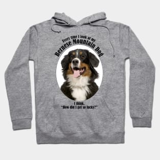 Lucky Bernese Mountain Dog Hoodie